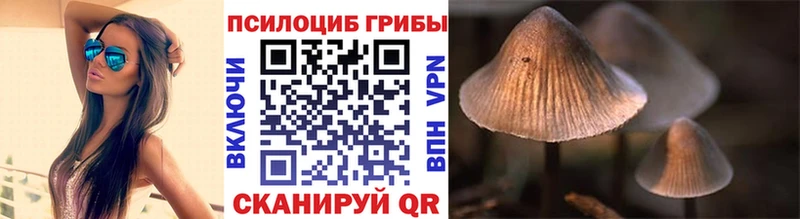Псилоцибиновые грибы Magic Shrooms  Купить где  Щигры 